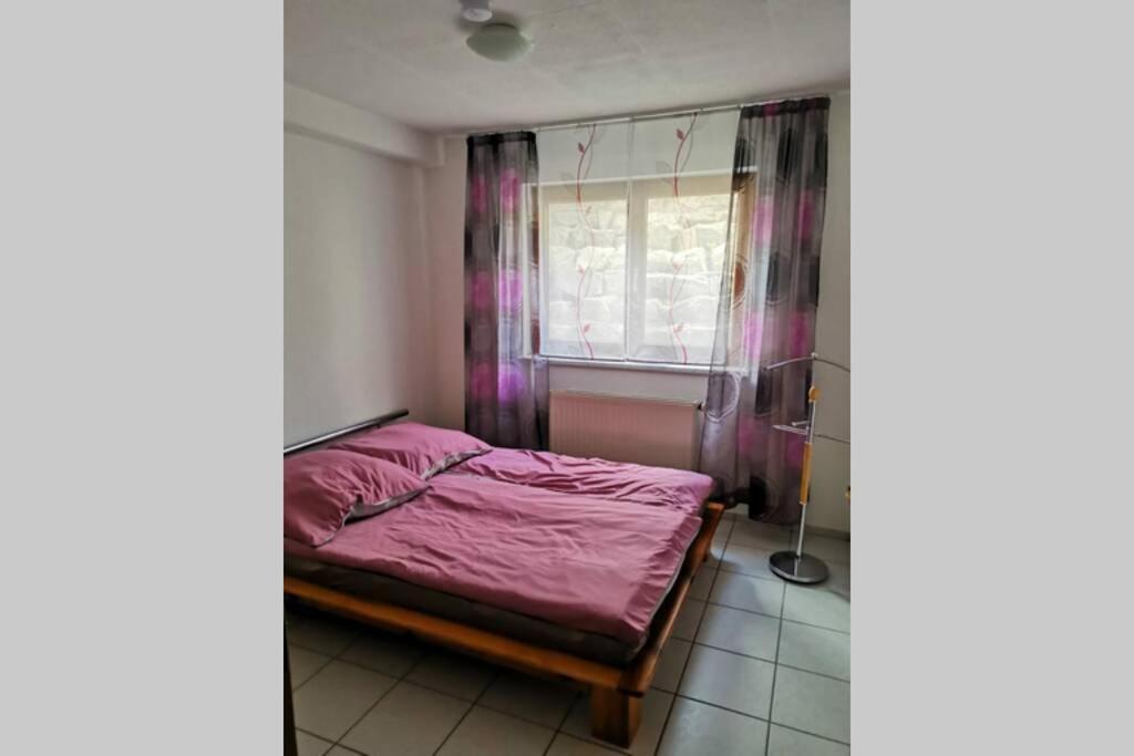 Ferienwohnung In Singen Am Hohentwiel - Seenah 外观 照片