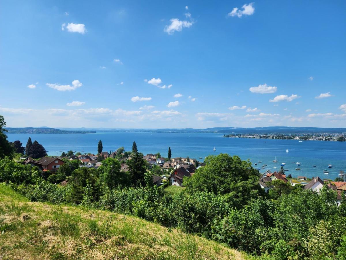 Ferienwohnung In Singen Am Hohentwiel - Seenah 外观 照片