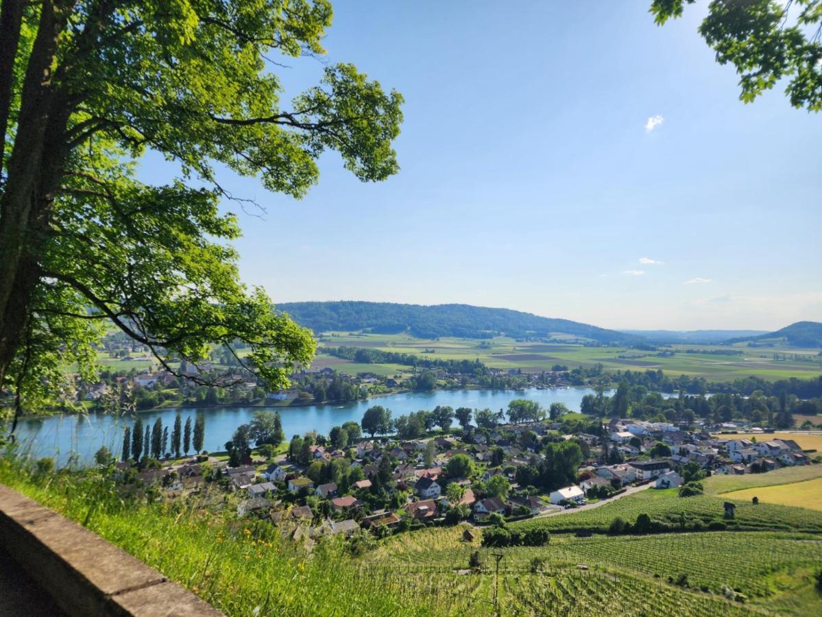 Ferienwohnung In Singen Am Hohentwiel - Seenah 外观 照片